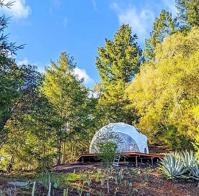 Domes create luxury getaways allowing you to enjoy nature in short or long-term stays.